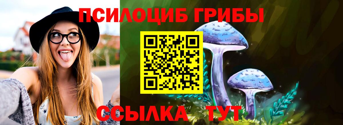 Псилоцибиновые грибы Cubensis  Вход с VPN  Малоярославец  Псилоцибиновые грибы ЛСД 